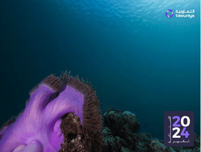 Design of Sustainability Report